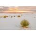 USA- New Mexico- White Sands National Monument. Sand dunes and yucca cactus. Poster Print - Gallery Jaynes (24 x 15)