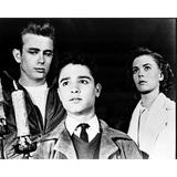James Dean Sal Mineo And Natalie Wood In Rebel Without A Cause Black And White Photo Print (16 x 20) - Item # MVM04178