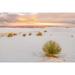 USA- New Mexico- White Sands National Monument. Sand dunes and yucca cactus. Poster Print - Gallery Jaynes (36 x 24)