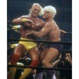 Hulk Hogan vs. Ric Flair 1990 Photo By John Barrett (Hulk Hogan vs. Ric Flair3569) Poster Print (16 x 20)
