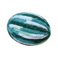 Thick Chunky Yarn Chunky Wool Yarn Bulky Yarn for Crocheting Arm Knitting Yarn Weight Yarn Knit Yarn for Knitted Blanket Mat Weaving Sweater Dark Green White