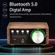 Mini amplificateur numérique HiFi Bluetooth 5.0 ampli audio de classe D 50W x 2 home cinéma