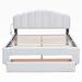 Latitude Run® Sloten Platform Storage Bed Fur/Upholstered in White | 41.9 H x 62.2 W x 83.5 D in | Wayfair C125DB1697B949DAB238CEDD486C022A