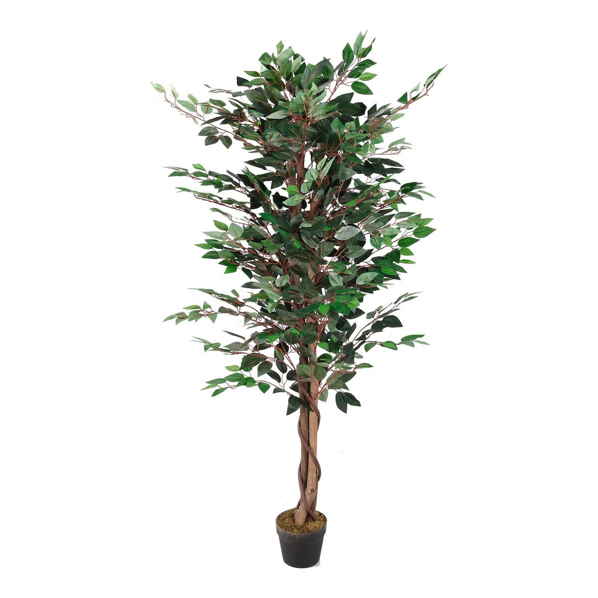 LEX künstliche Pflanze Ficus 1008 Blätter ca. 160 cm Image