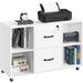 Black Filing Cabinet Large Mobile Storage Lateral Filing Cabinet with 2 Drawer and 4 Open Compartments for Letter Size A4 Size Printer Stand for Home Office White