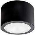 Vessel 3.8"H x 5.5"W 1-Light Flush Mount in Black