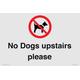 Schild mit Aufschrift "No Dogs upstairs please", 300 x 200 mm, A4L