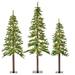 The Holiday Aisle® Alpine w/ Plastic Trunks 72' Lighted Artificial Pine Christmas Tree in Green/White | Wayfair 217FD4D330B34886994046E19DF65E71
