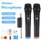 Microfono wireless Microfoni palmari dinamici Microfono karaoke con ricevitore ricaricabile per club