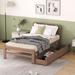 Modern Twin Size Platform Bed Frame with 2 Drawers of Walnut Color