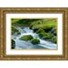Miller Anna 14x11 Gold Ornate Wood Framed with Double Matting Museum Art Print Titled - Water Falling over Boulders on Roaring Fork Motor Nature Trail