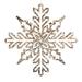 The Holiday Aisle® Mertztown Shiny Snowflake Ornament Plastic in Green | 0.2 H x 9 W x 9.06 D in | Wayfair E5B46B5F0D724BA1818E3B5A43D1DB72