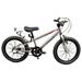 Adept 16 3S Freewheel by Adept Family brand. Lightweight 3 Speed 16 Inch Kids Bike with Shimano Internal Gears. The only 16 inch bikes with gears. 16 inch mountain bike. Chrome Silver