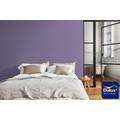 Dulux Colour Tester Purple Infusion 5, 30ML