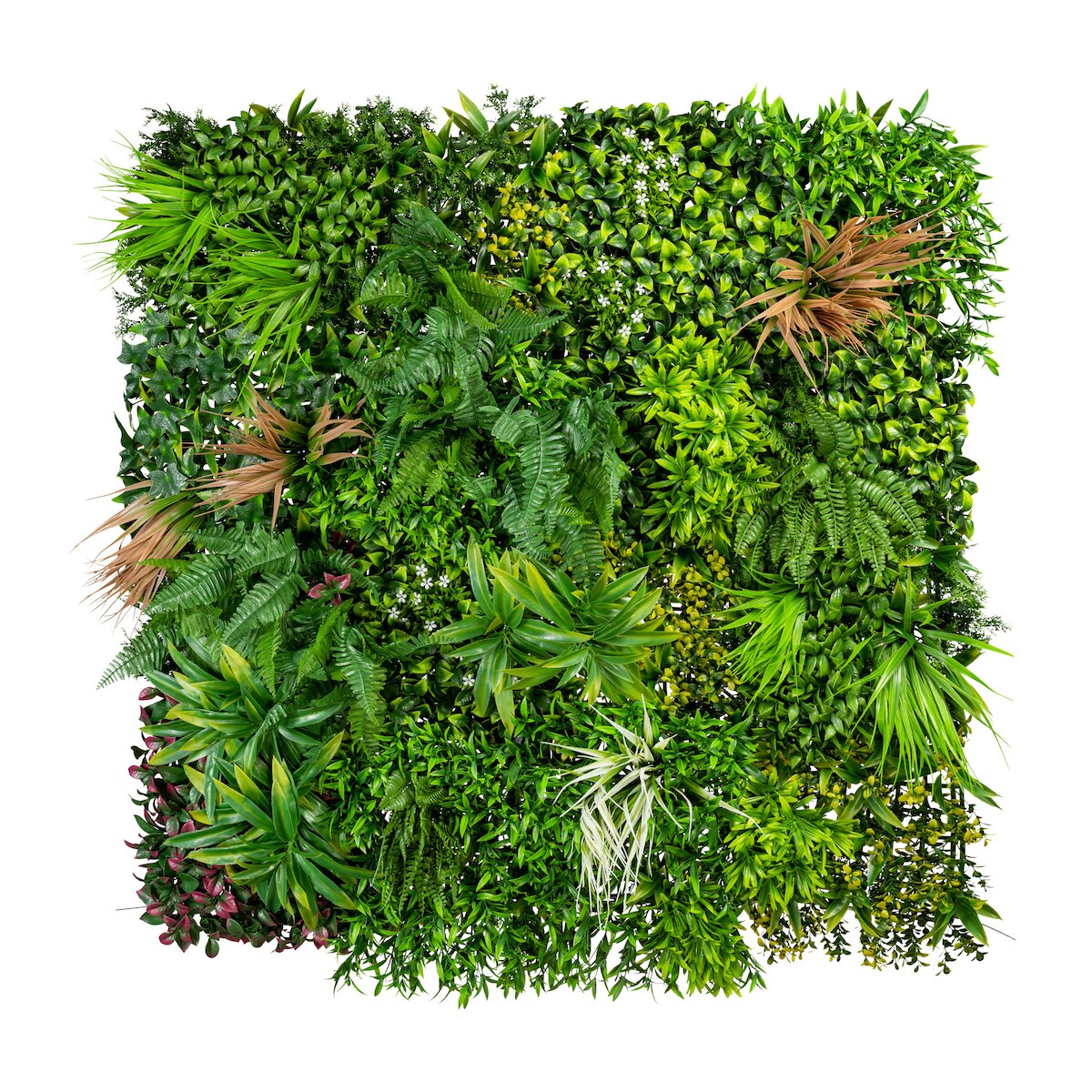 CREATIV green künstliche Pflanze Premium-Blättermatte, ca 100x100x12cm, mit Farnen, Gräsern und Blüten Image