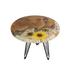 Latitude Run® Coffee Table, Glass in Yellow | 17.7 H x 25 W x 25 D in | Wayfair 8B164C19A0CC45DEA8B6D5AC6839B2FF