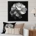 Latitude Run® Gray White Hydrangea Bloom I On Canvas Print Canvas, Cotton | 16 H x 16 W x 1.5 D in | Wayfair 8088D71C941B41569140125288A6A53E