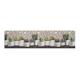 BIANCHERIAWEB Rutschfester Küchenteppich mit Kaktus, Küchenläufer, Maße: 50 x 280 cm, Made in Italy mit Digitaldruck Sprinty, zuschneidbarer und schmutzabweisender Teppich