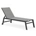 PURPLE LEAF Extra Large Outdoor Chaise Lounge 2 Pieces Aluminum Patio Lounge Chair with Wheels Reclining Chair for Patio Pool Beach Sunbathing Grey Oversized Lounger