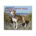 BrownTrout For the Love of - 16-month calendar - wall mount - 2024 - American pit bull terriers - month to view - - dated
