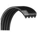 Life Fitness LifeCycle Recumbent Bike Alternator Drive Belt 0017-00009-1021 5500 9100 9500HR Lifecycle