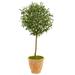 Nearly Natural 4 Olive Artificial Tree in Terra Cotta Planter