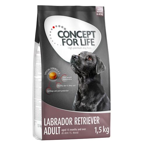 4 x 1 kg / 1.5 kg Concept for Life zum Sonderpreis! - 4 x 1,5 kg Labrador Retriever