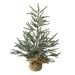 2' Potted Iced Cedar Pine Medium Artificial Christmas Tree - Unlit