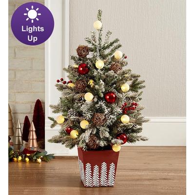 1-800-Flowers Gifts Delivery Sparkling Woodland Holiday Tree - 36'