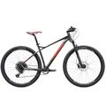 Head Unisex – Erwachsene X-Rubi 4.0 Mountainbike, grau metallic/rot, 56