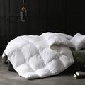APSMILE Luxurious All Seasons European Goose Down Comforter Full/Queen Size Duvet Insert -1600TC Ultra-Soft Egyptian Cotton, 47 Oz Fluffy Medium Warmth, Solid White