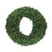 60" Pre-Lit Olympia Pine Artificial Commercial Christmas Wreath - Clear Lights