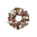 13.5" Frosted Pine Cone, Twigs and Berries Artificial Christmas Wreath - Unlit
