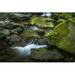 Necarney Creek Flows Out of The Coast Range At Oswald West State Park - Manzanita Oregon United States of America Poster Print by Robert L.Potts - 19 x 12