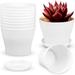 Plant Pots 8 Pack Flower Pots with Drainage Holes and Saucers Plastic Planters for All Home Garden Flowers Plants Succulents 5.5inch White