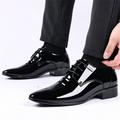 LYCAQL Men Shoes Fashion Summer And Autumn Men Leather Shoes Pointed Toe Low Heeled Lace Up Solid Dress Tennis Shoes for Men Leather (Black 12)