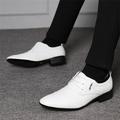 LYCAQL Men Shoes Fashion Summer And Autumn Men Leather Shoes Low Heel Pointed Toe Lace Solid Color Business Men Tennis Shoes Leather (White 11)