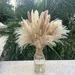 50pcs Natural Dried Pampas Grass Bouquet Boho Home Decor Bouquet Phragmites Dried Flowers Bouquet For Wedding Floral Arrangements Home Decorations