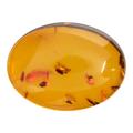 Natural Amber, Oval Cabochon, 20x15mm
