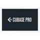 Steinberg Cubase Pro 13