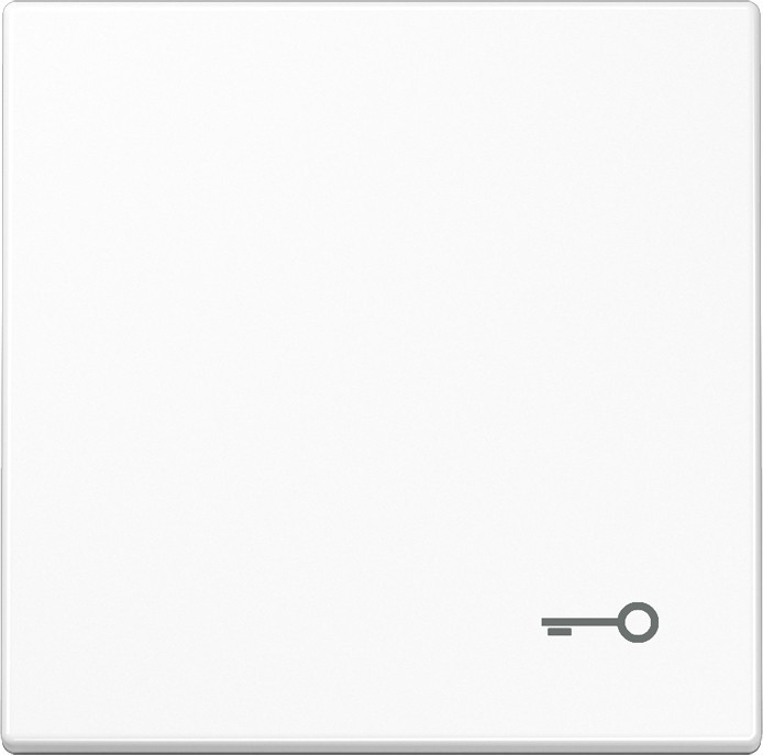 Jung Wippe Symbol TÜR aws LS 990 T WW LS990TWW Image