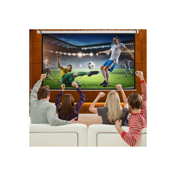 luckyremore-outdoor-electric-projector-screen-in-white-|-52-h-x-96.5-w-in-|-wayfair-hm1055/