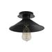 Breakwater Bay Carsonhill 1 - Light Pendant, Metal in Black | 9.4 H x 9.4 W in | Wayfair EBAD6936CC574635AF2ACDF6C3E27510