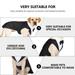 Pet Wedding Suit Dog Formal Wedding Shirt Cotton Tuxedo Pet Fashion Suit for Cosplay Wedding