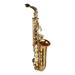 walmeck Eb Alto Saxophone Brass Lacquered Alto Sax Wind Instrument with Carry Case Gloves Straps Cleaning Cloth & Brush Saxophone Mute Reeds Mouthpiece Pad Mouthpiece Brush