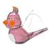 Bird Water Whistle Whistling with Hanging Rope Musical Instrument Novelty for Kids Bags Fillers Boys Girls Party Supplies Pink