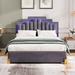 Everly Quinn Ronyn Platform Storage Bed Upholstered/Velvet in Gray | 44.9 H x 61 W x 81.1 D in | Wayfair 435A92090A1D4095819EA20C67748720