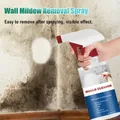 60ml Mildew Remover Spray Ceiling Bathroom Ceramic Wall Surface Anti-Mould Cleaning Foam Multi