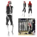 Calager Halloween Skeleton,64inch Halloween Poseable Skeleton,Pirate Styling Life Size Skeleton,Plastic Human Skeleton,Full Body Life Size Human Bones with Movable Joints for Haunted House (White)