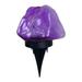 FNGZ Led Light Multicolor Solar Powered Ground Lights Waterproof Led Solar Lights Outdoor Solar Lights Decorative Solar Garden Lights for Landscape Patio Yard Walkway Path Lawn Lighting Purple